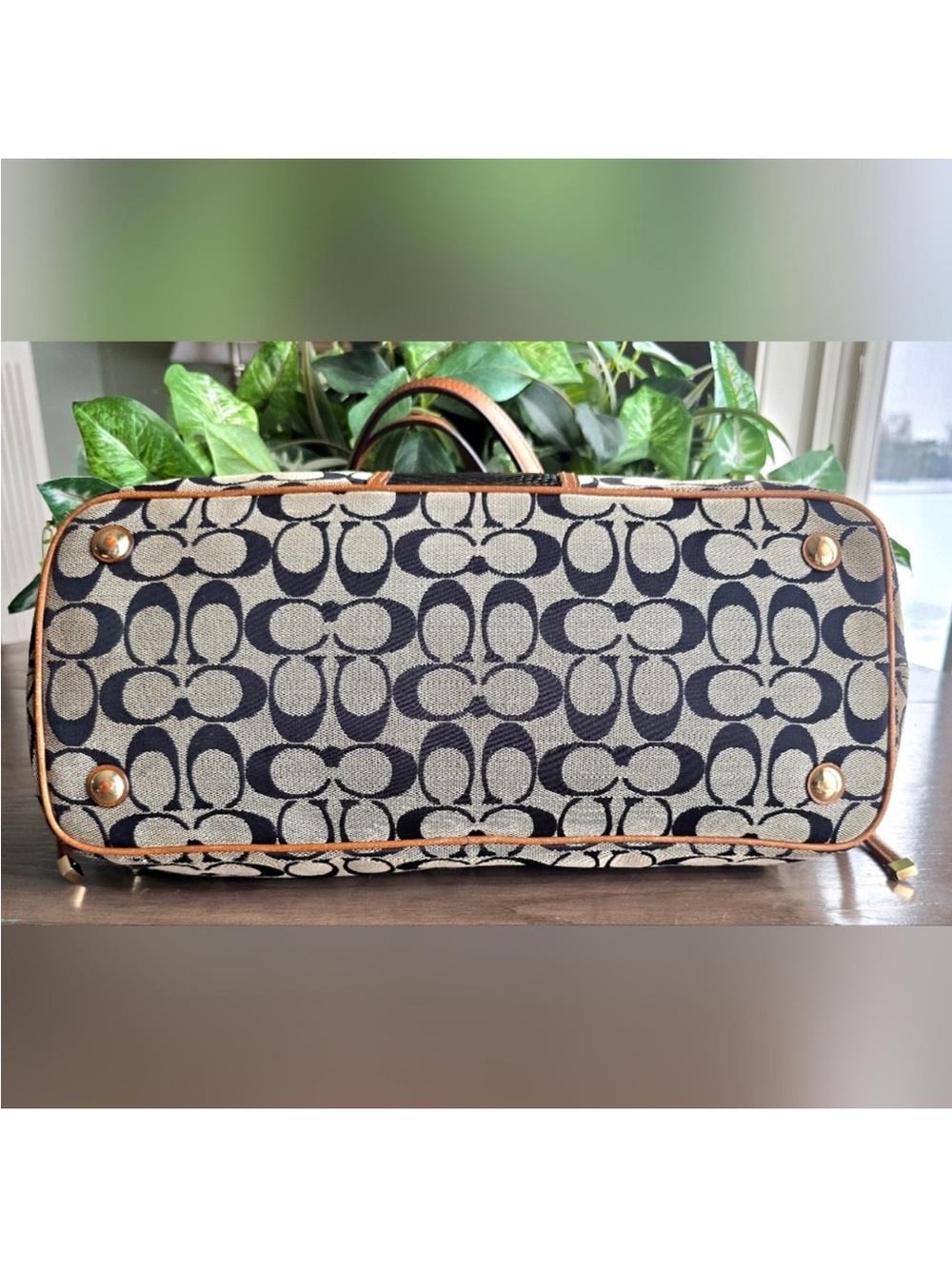 Coach Signature Python Embossed Stripe Drawstring Carryall - Picture 4 of 8
